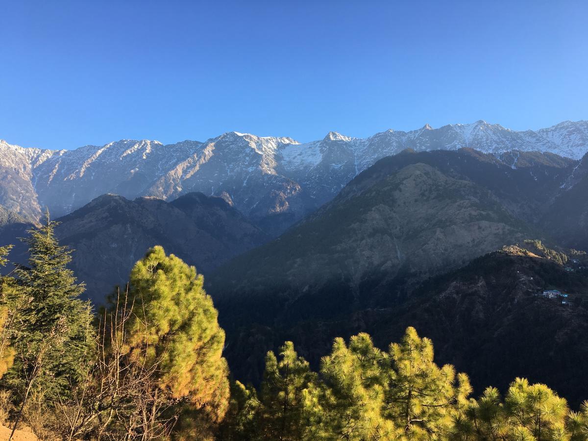 Ess & Bee Resorts Dharamshala Exteriör bild