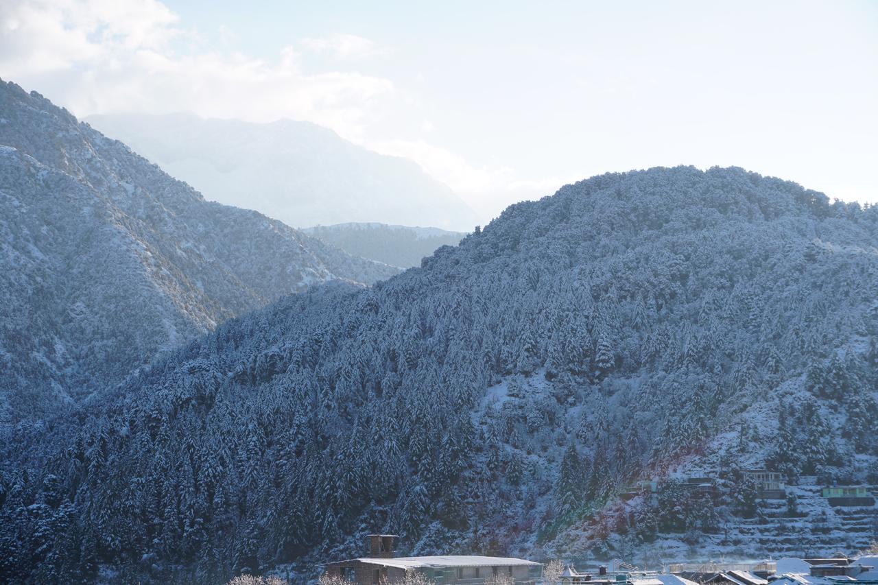 Ess & Bee Resorts Dharamshala Exteriör bild