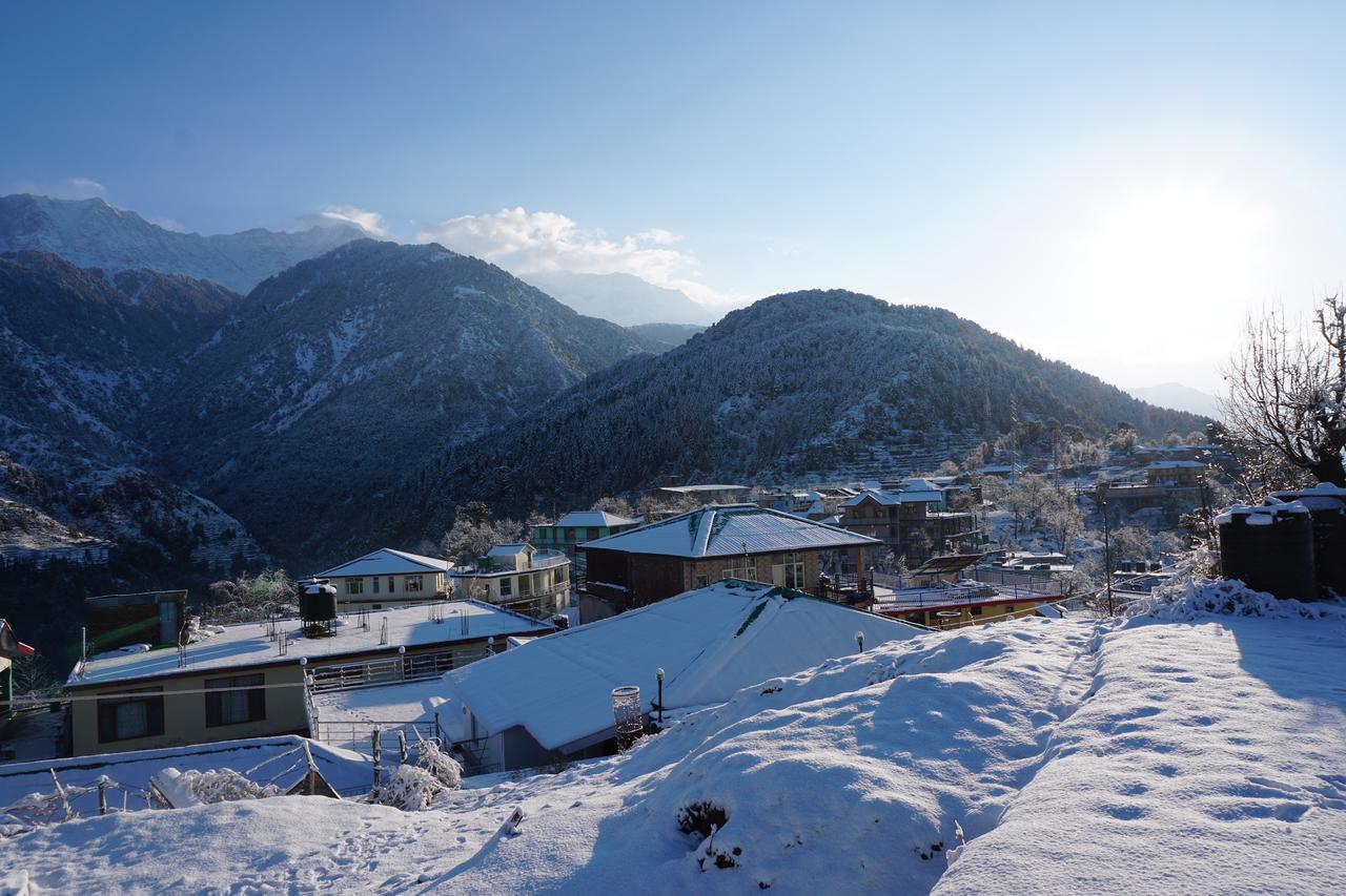 Ess & Bee Resorts Dharamshala Exteriör bild